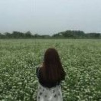 工藝美術(shù)品及收藏品零售的會(huì)計(jì)實(shí)務(wù)解析