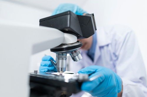 創模生物同源模型 探索生命科學的新途徑